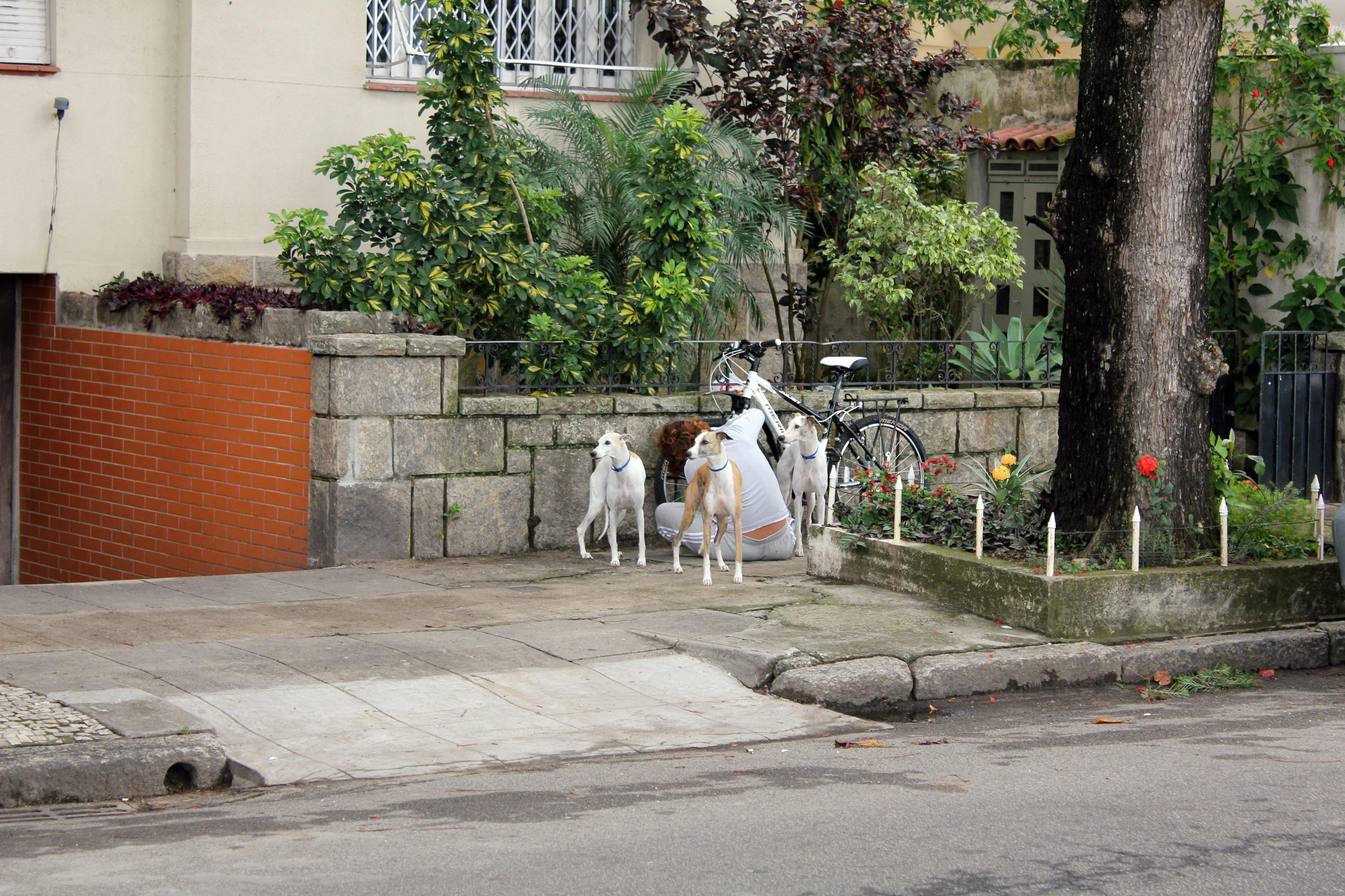 Person watching AI regulation explainer on a laptop
