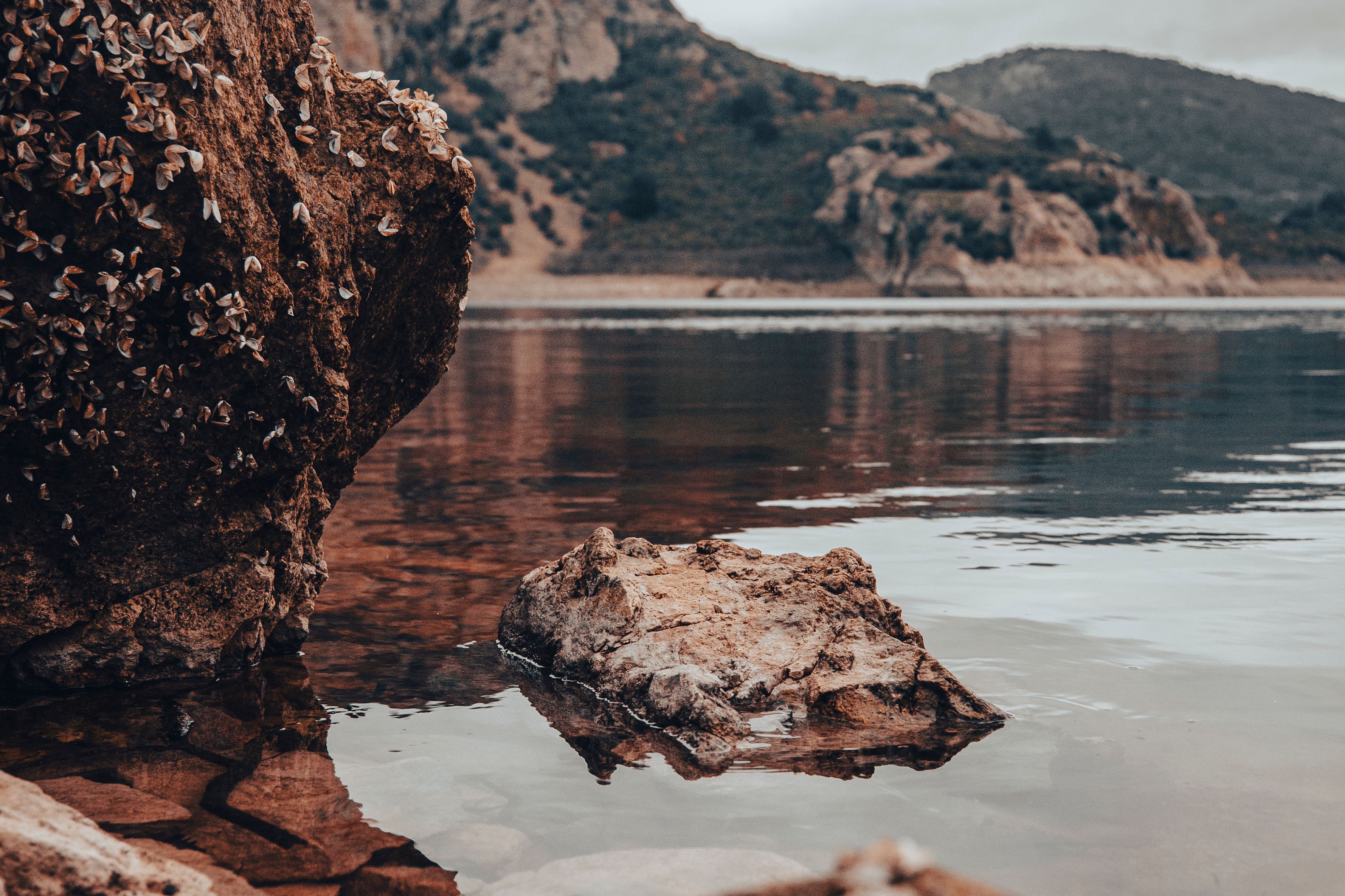 Peaceful scene of rocks and calm water at a lakeside with mountains in the background.