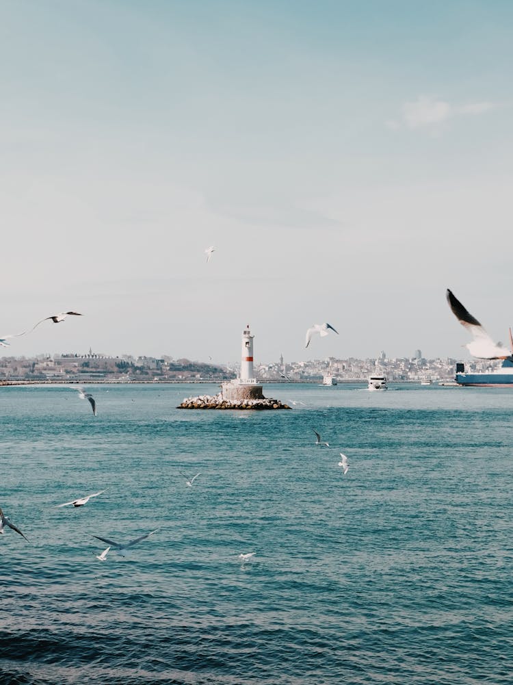 Sea And A Lighthouse On A Small Island 