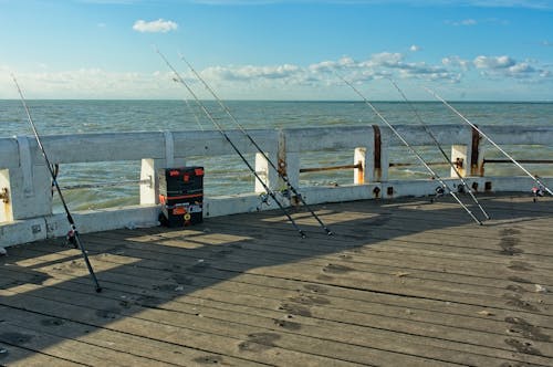 Gratis arkivbilde med fiske, fiskestang, molo