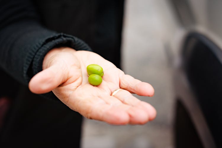 Olives On Man Hand