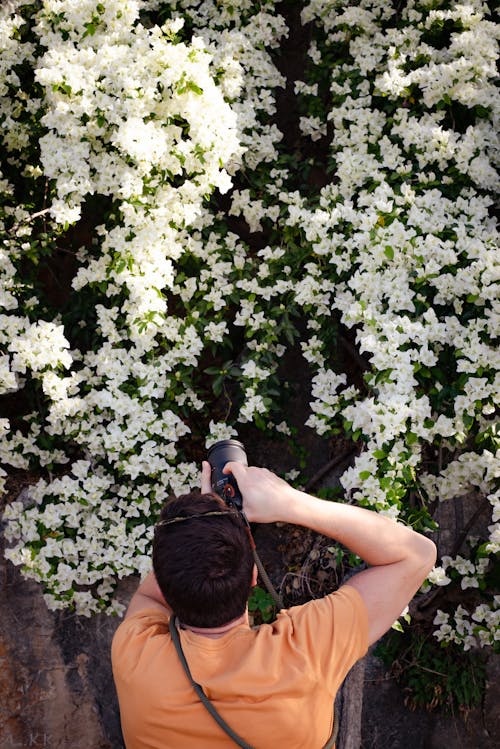 Man Taking Pictures of Blossoms