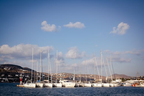 Rows of Boats at the Marina