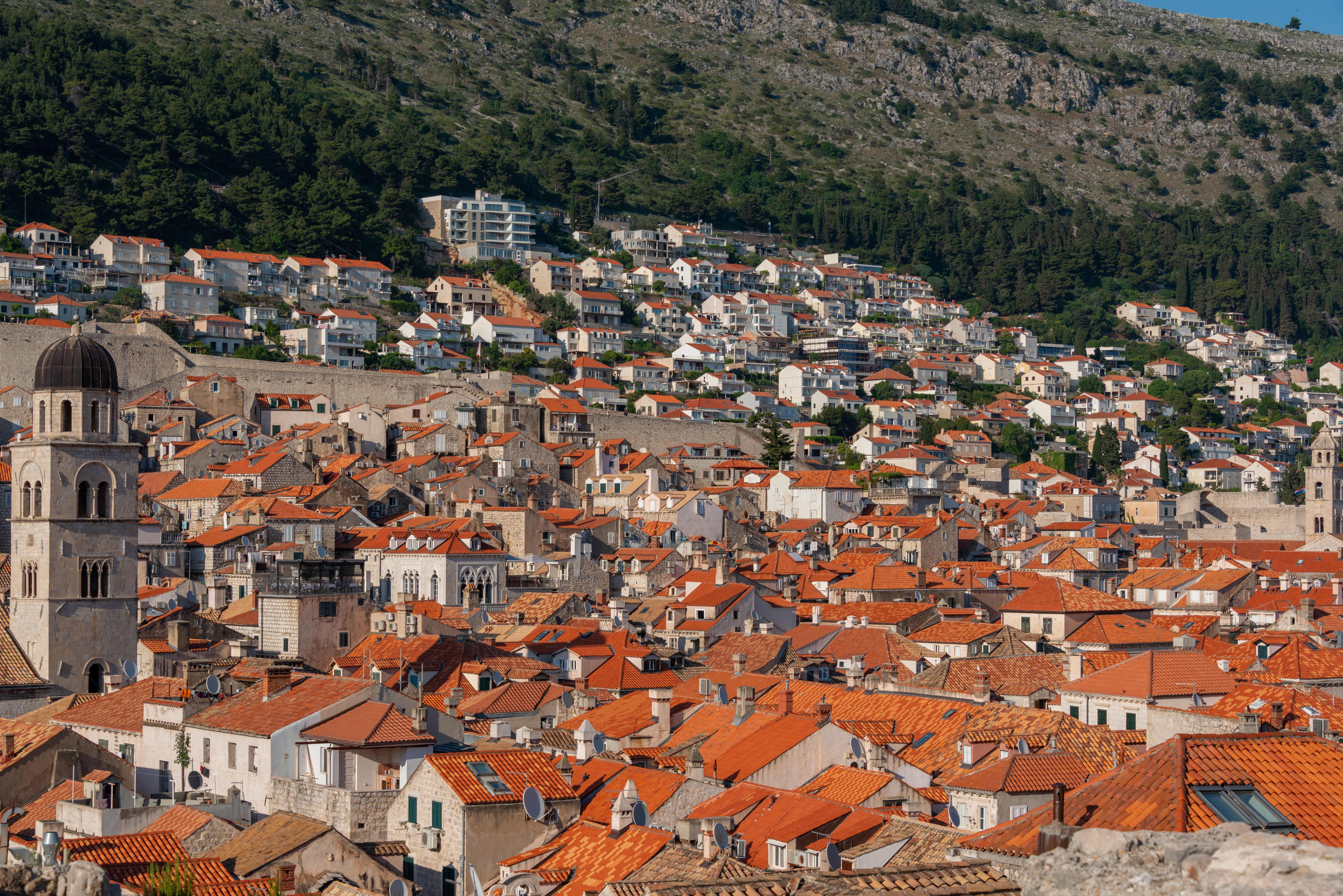 Terraced Plavac Mali vineyards on the steep Dingač slope above the Adriatic