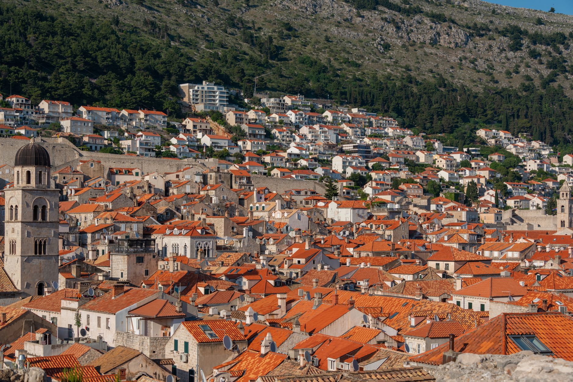 Terraced Plavac Mali vineyards on the steep Dingač slope above the Adriatic