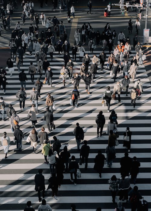 Aerial View of a Crowd on a Zebra Crossing in City 