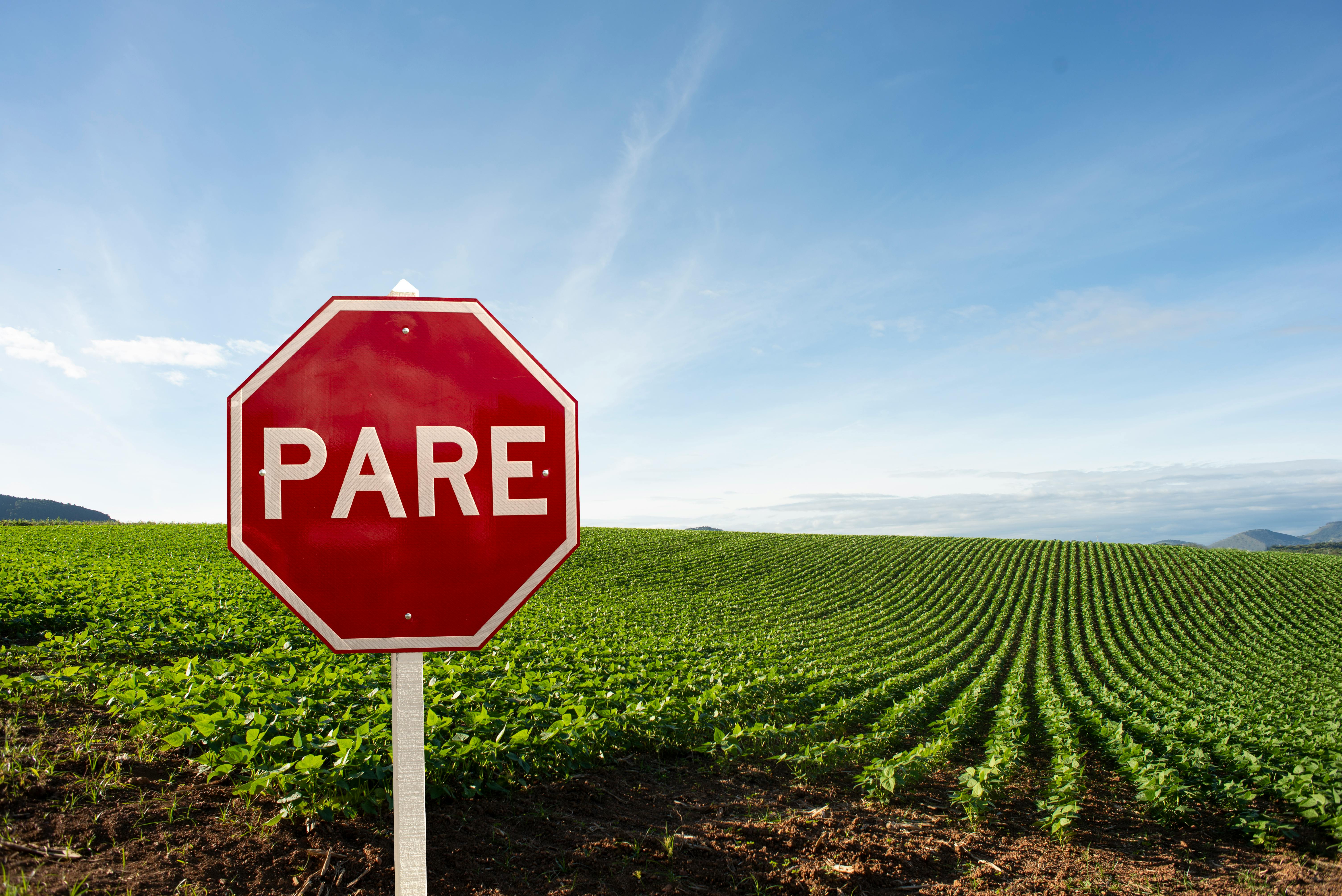 Stop rage-quitting your language learning app and try this $49 lifetime subscription instead — Photo by Daniel Reche on Pexel
