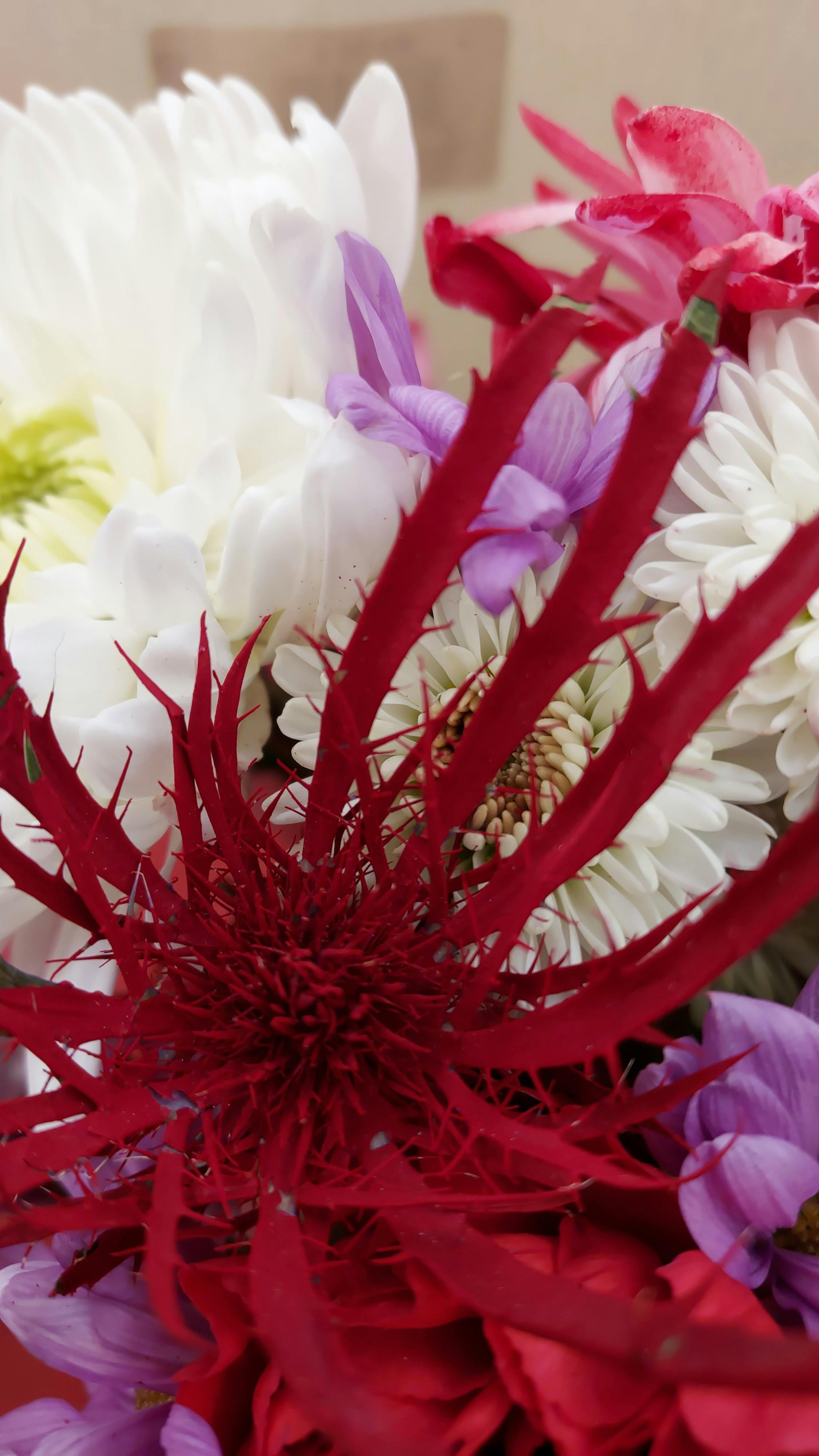 lubava Bel - Fotografie