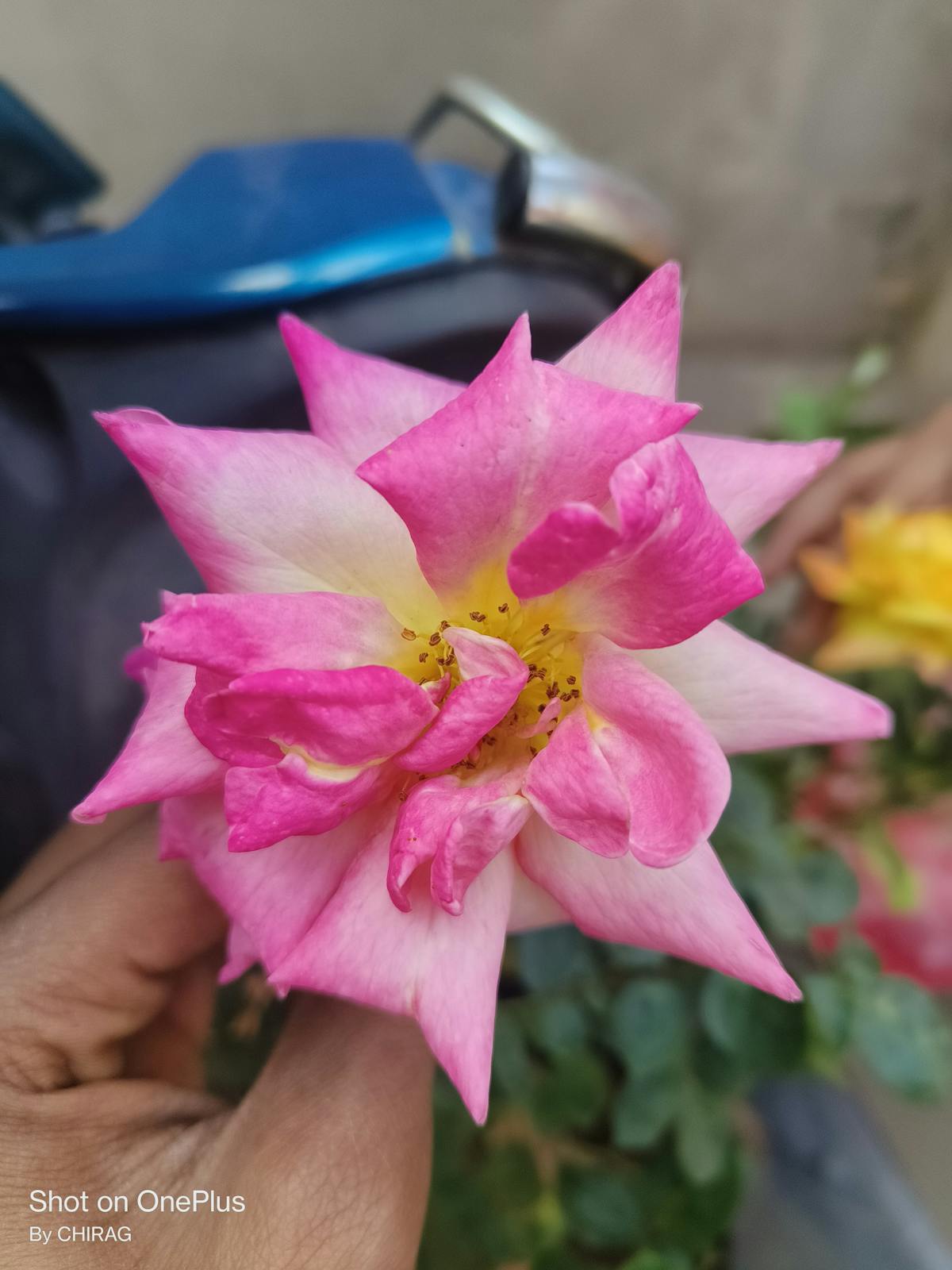 TikTok app open on a smartphone showing vertical short video interface