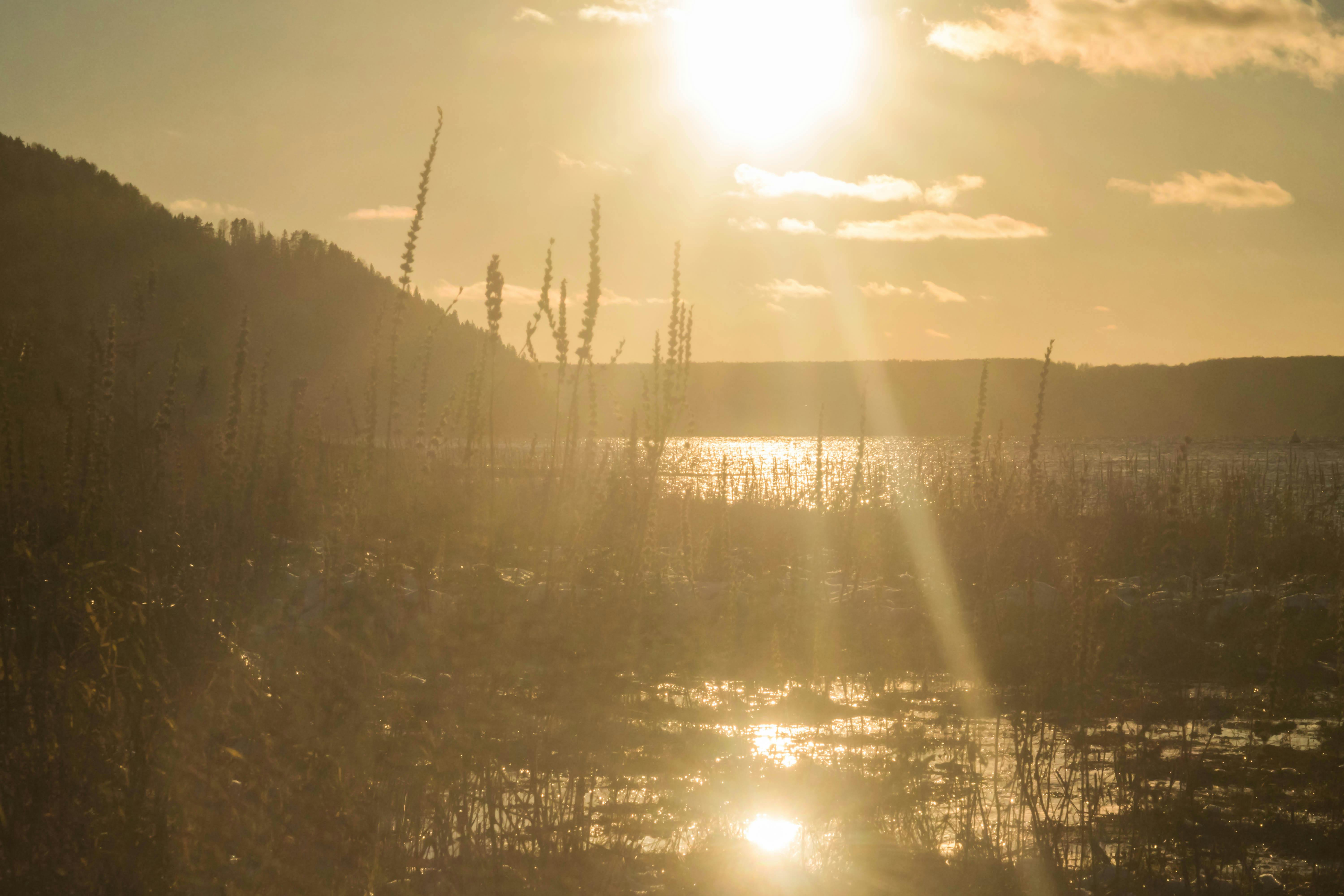 Person filming vertical video content on a smartphone with a city background