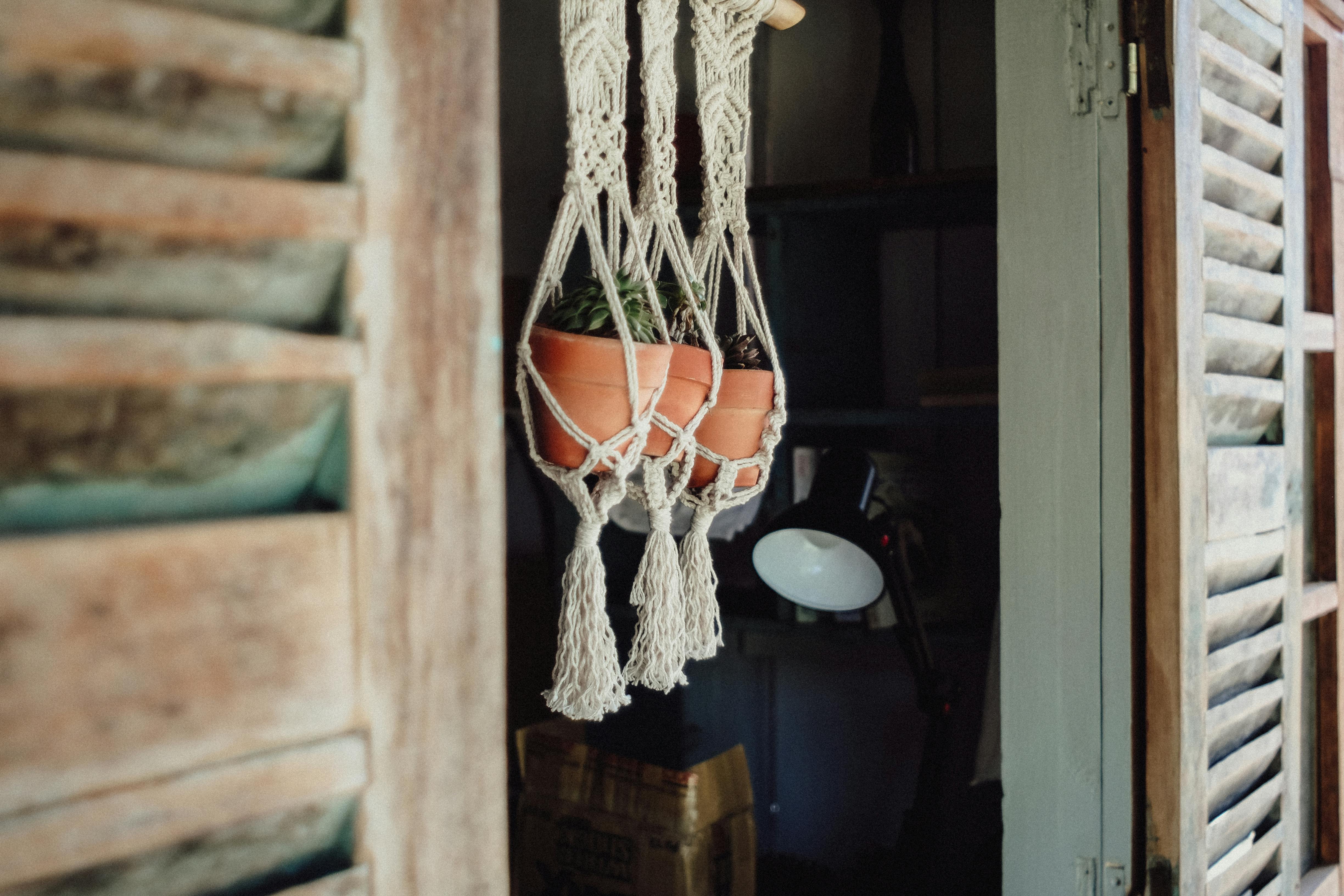 heartleaf philodendron in a hanging macrame planter draping over a shelf - best trailing houseplants for low light