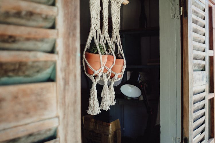 Three Hanging Pots 