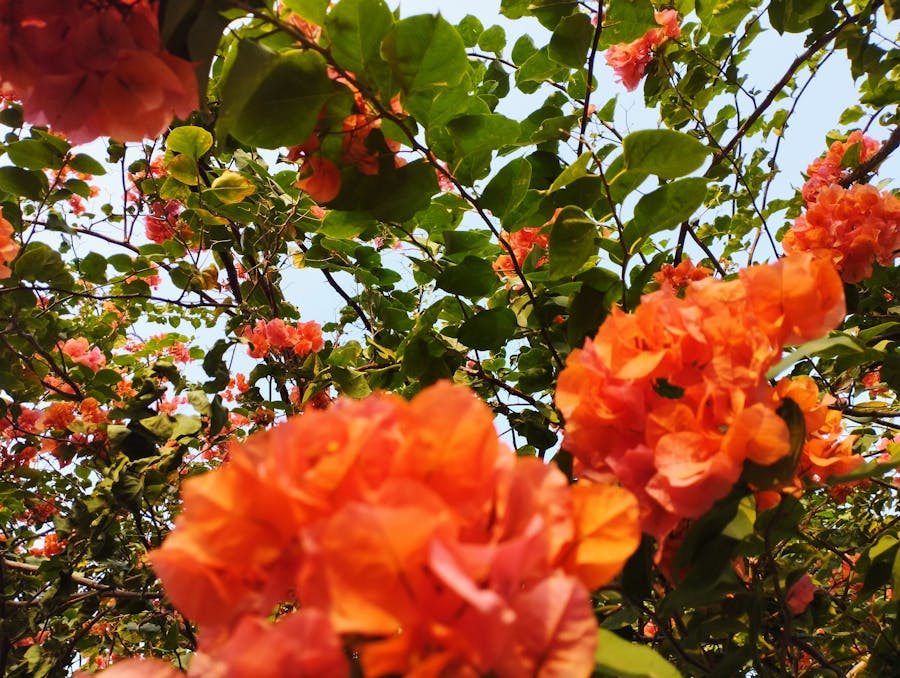 User watching looping short videos on a smartphone