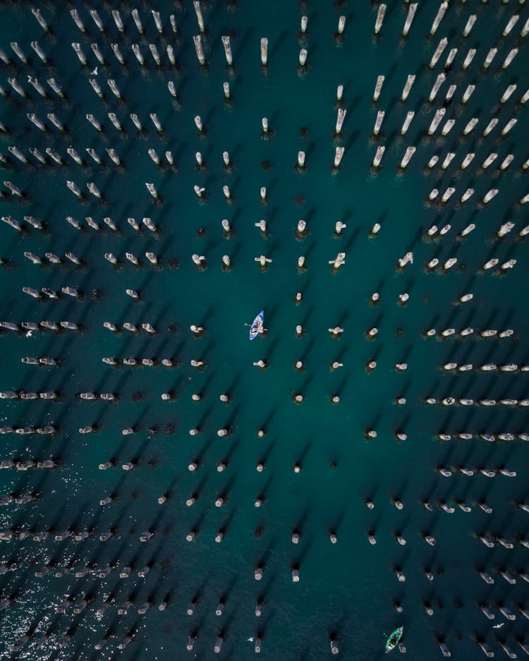 High Angle Shot Of People Rowing Boat