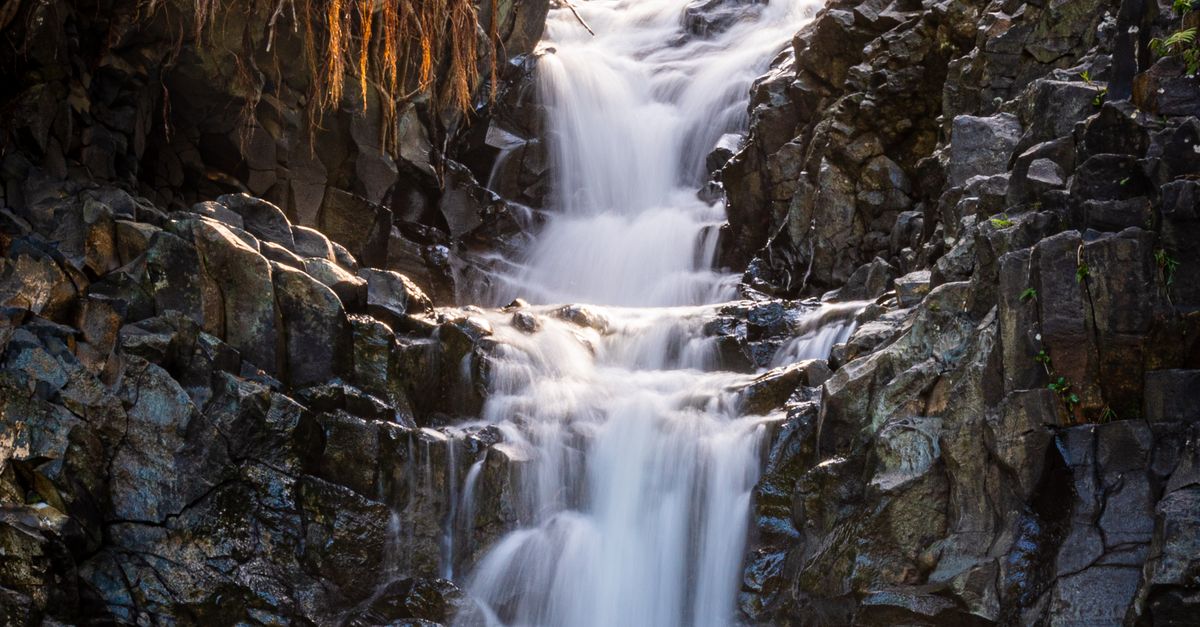Waterfall on Rock in Wild Forest · Free Stock Photo
