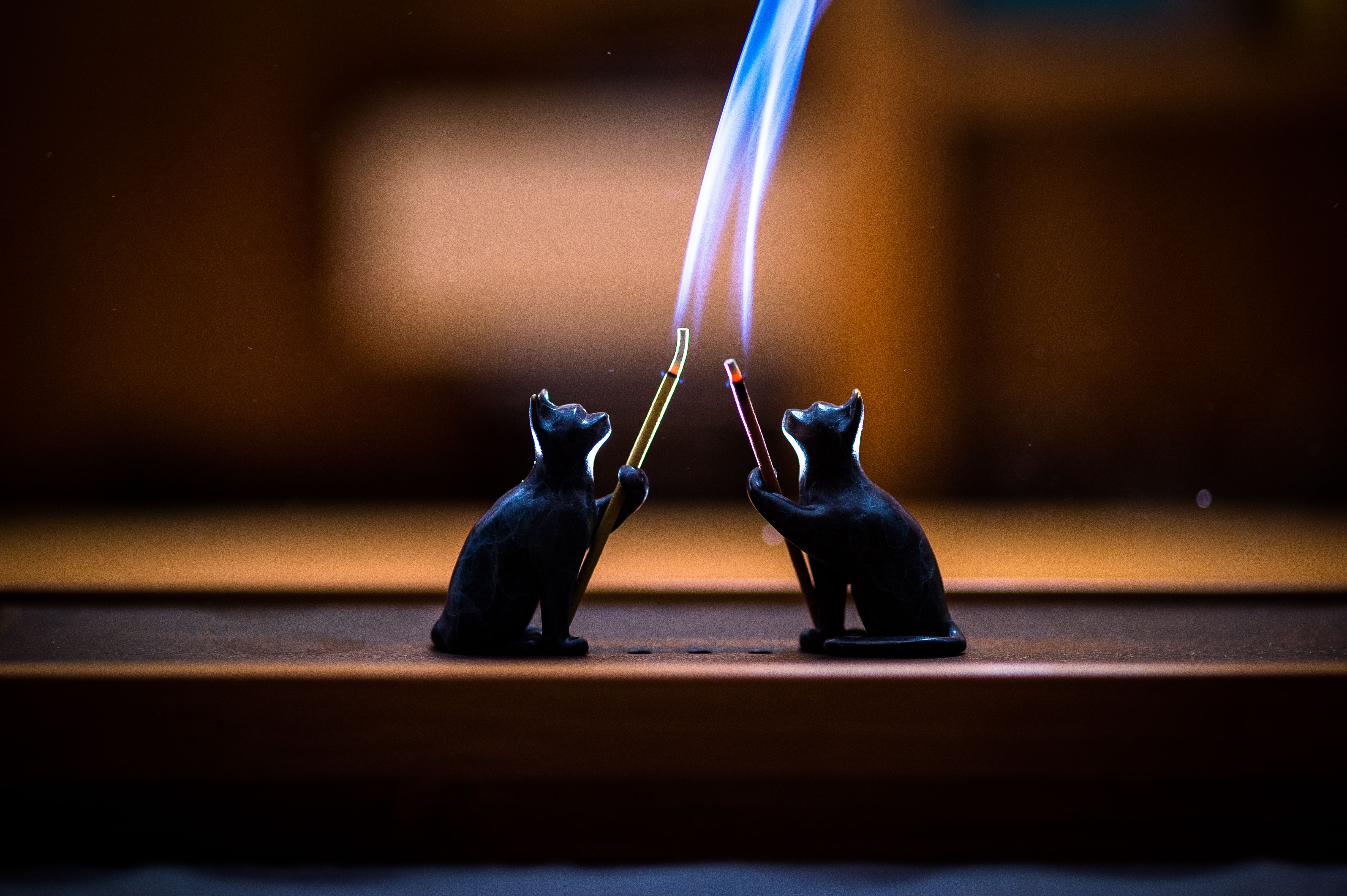 猫咪躲避熏香烟雾