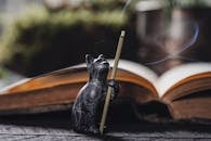 Close-up of a Cat Figurine with a Burning Incense