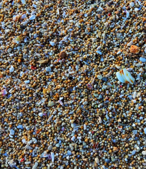 Free stock photo of beach, sea