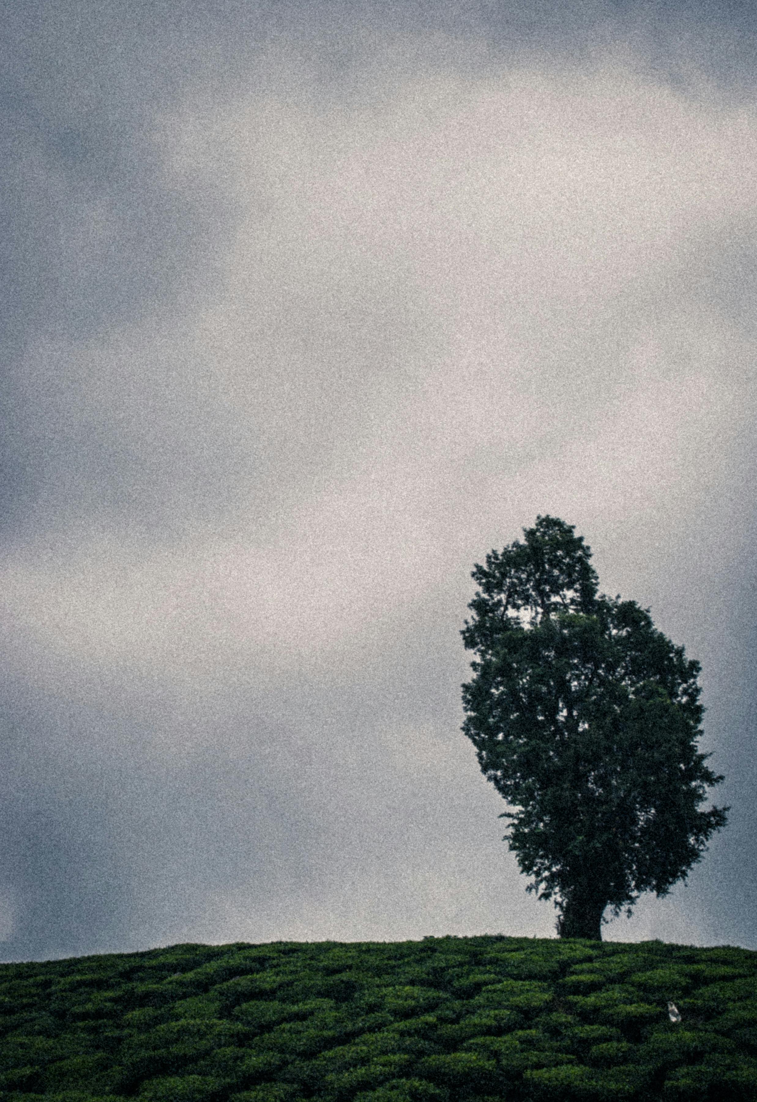 Free stock photo of black and white, mountain