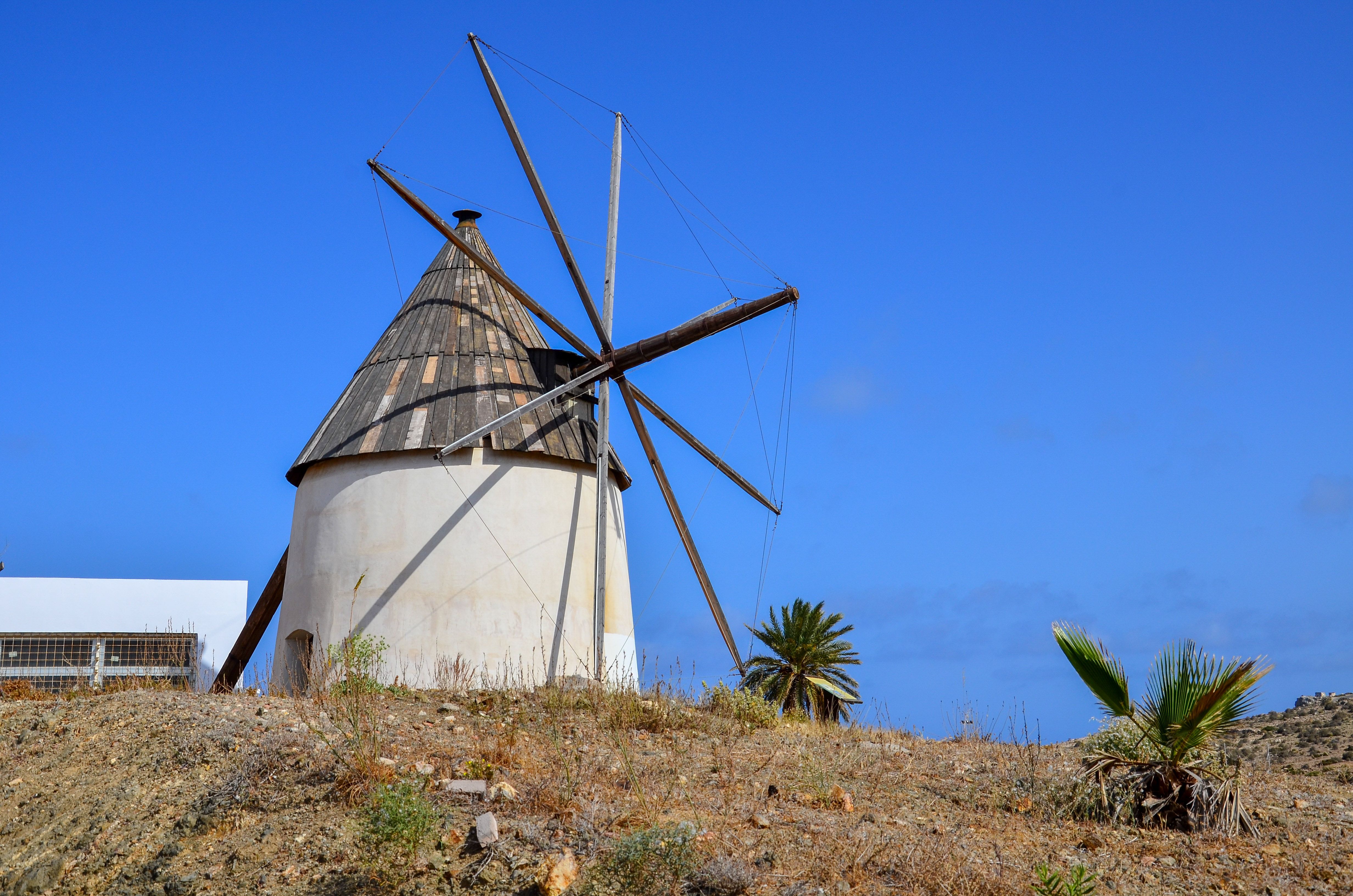 De franc Foto d'estoc gratuïta de a l'aire lliure, agricultura, ambient Foto d'estoc