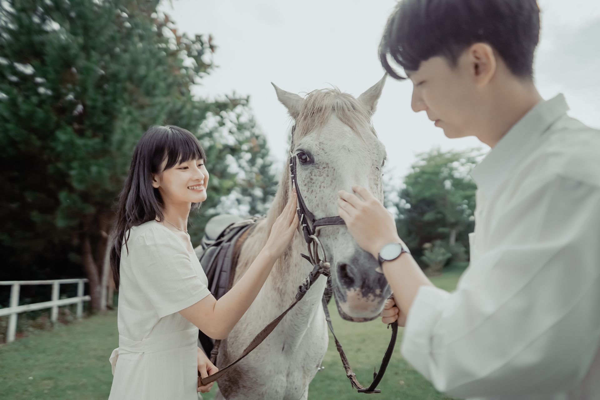 A young couple happily interacting with a horse in a serene outdoor setting.