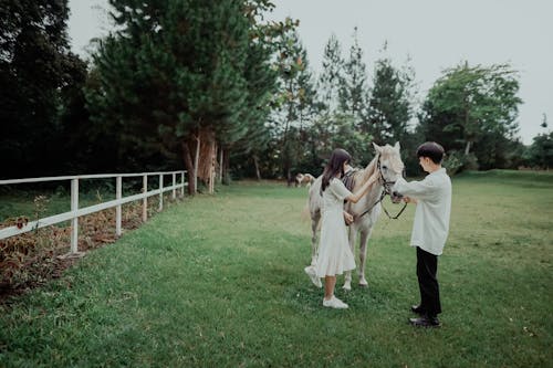 Бесплатное стоковое фото с белая лошадь, женщина, животное