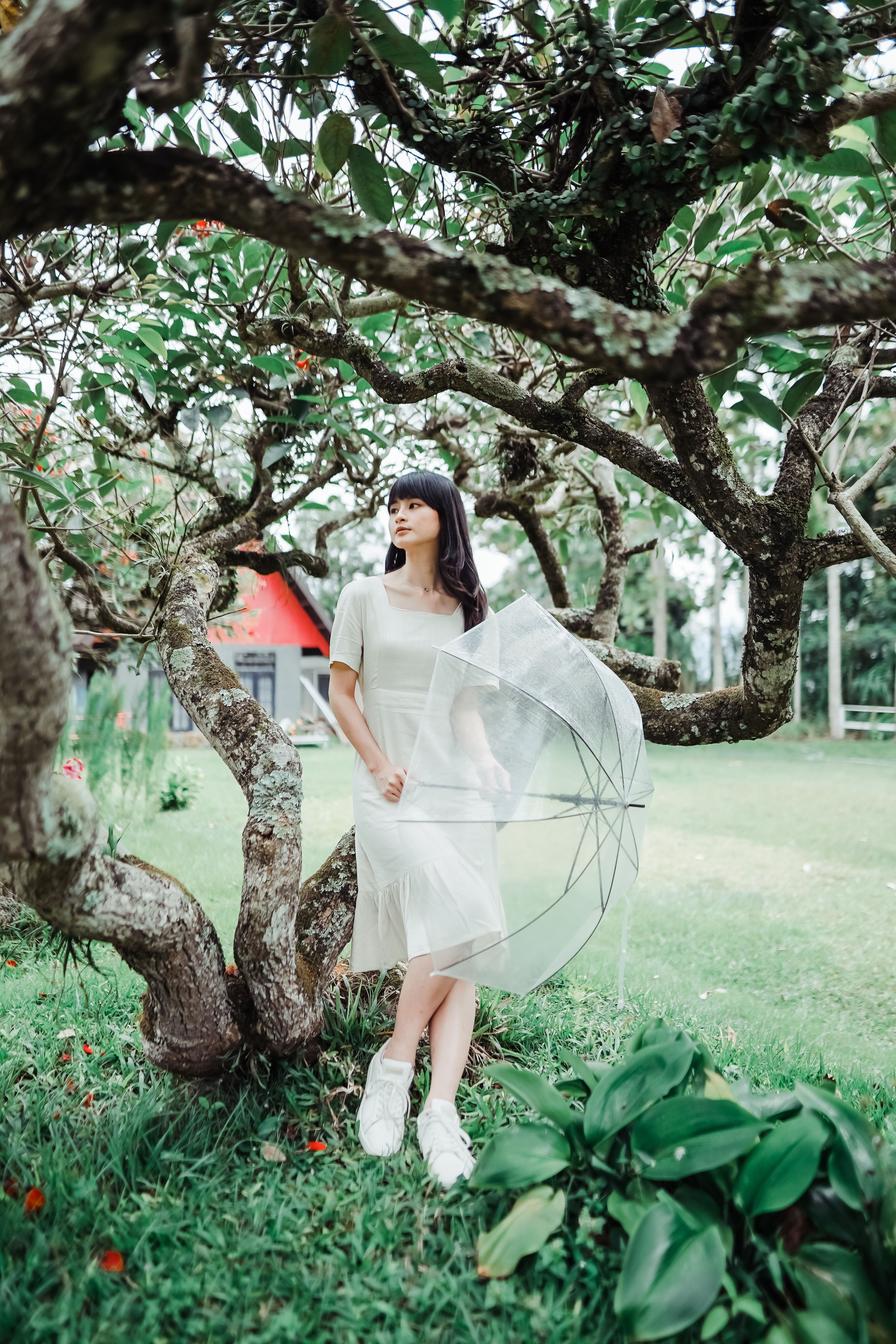 Woman in White Dress Posing with Umbrella under Trees · Free Stock Photo