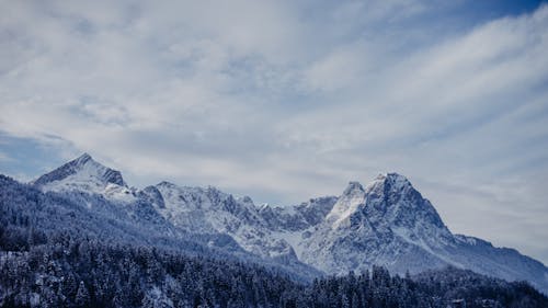 Scenic Mountain Range and Forest Trees in Winter 