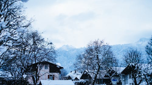 German village in snow