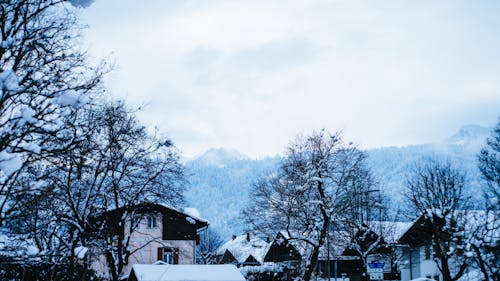 Fotobanka s bezplatnými fotkami na tému chladný, denné svetlo, Európa