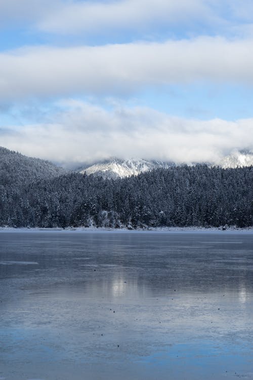 ağaçlar, bulutlar, buz içeren Ücretsiz stok fotoğraf