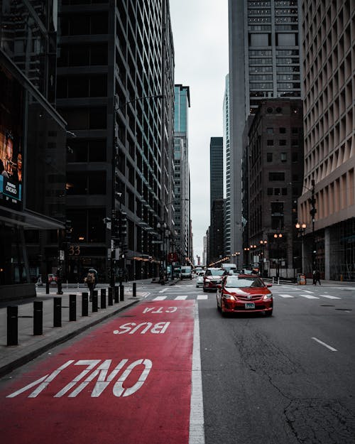 Cars on Street in City