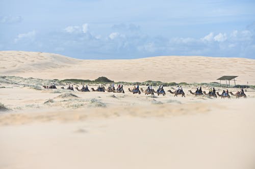 Kostenloses Stock Foto zu abenteuer, dürr, erodiert