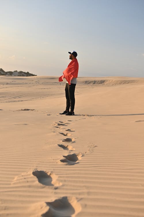 Foto d'estoc gratuïta de camins, dempeus, desert