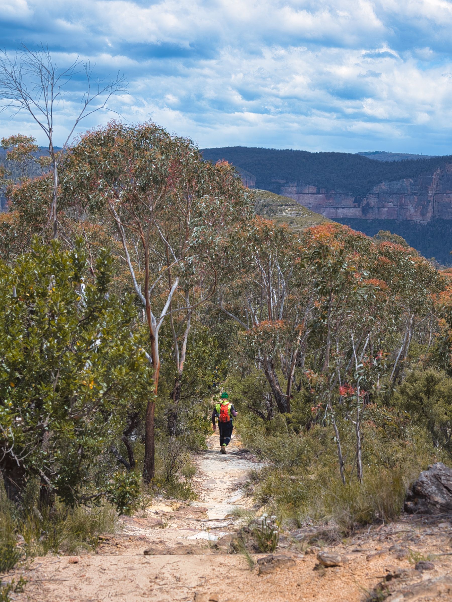Hiker walking through Blue Mountains forest trail under cloudy skies.