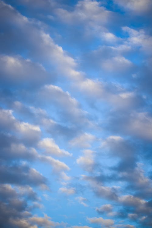 bulutlar, dar açılı çekim, dikey atış içeren Ücretsiz stok fotoğraf