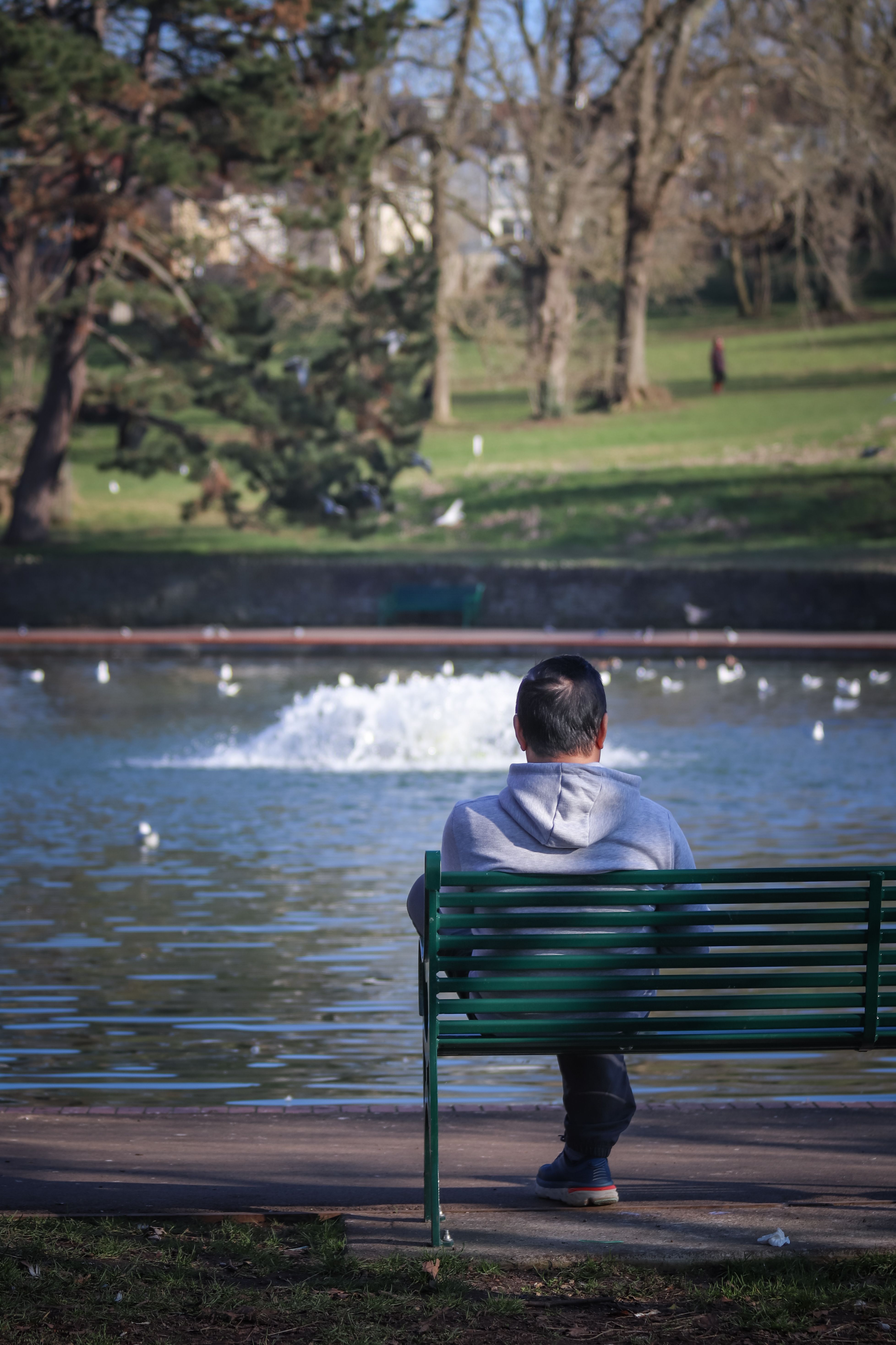 Man Sitting on a Bench in a Park · Free Stock Photo