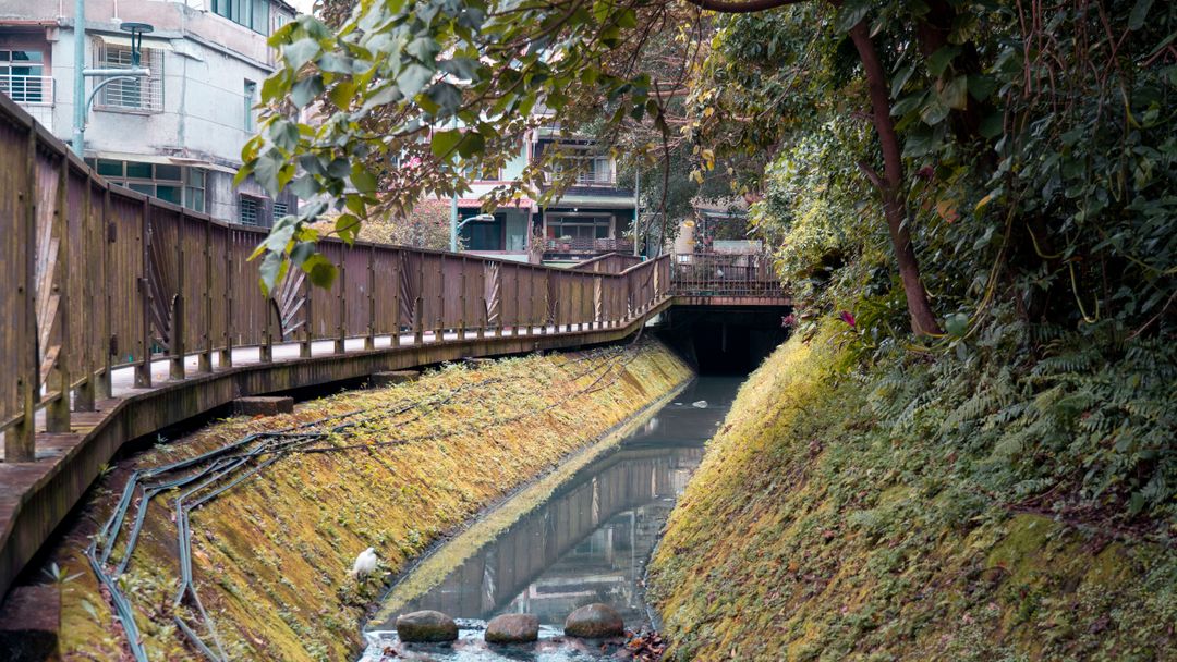A water channel running past houses with a walkway alongside