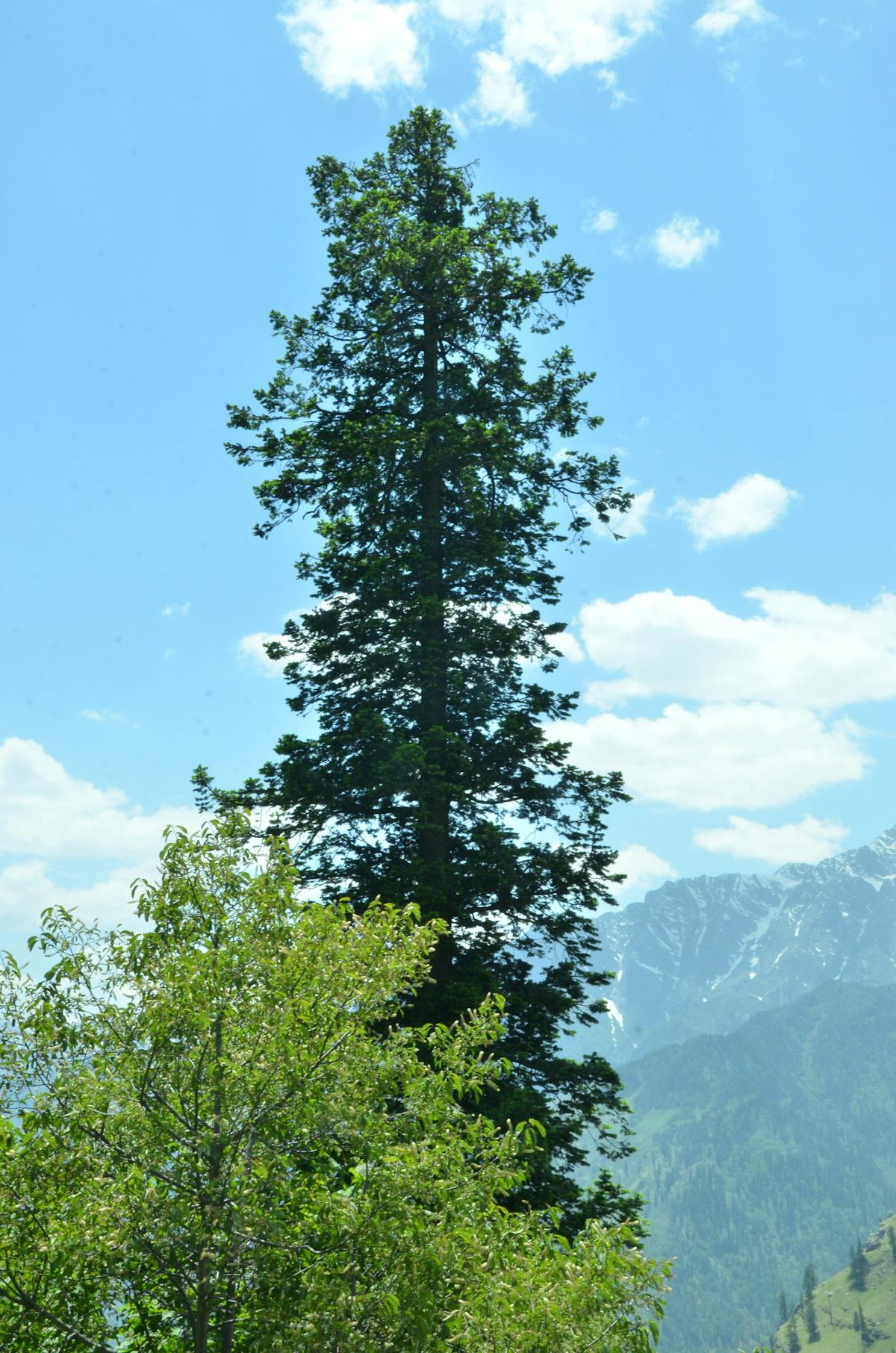 Close-up of a smartwatch showing heart rate and wellness statistics