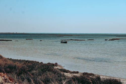 Clear Sky over Sea Shore