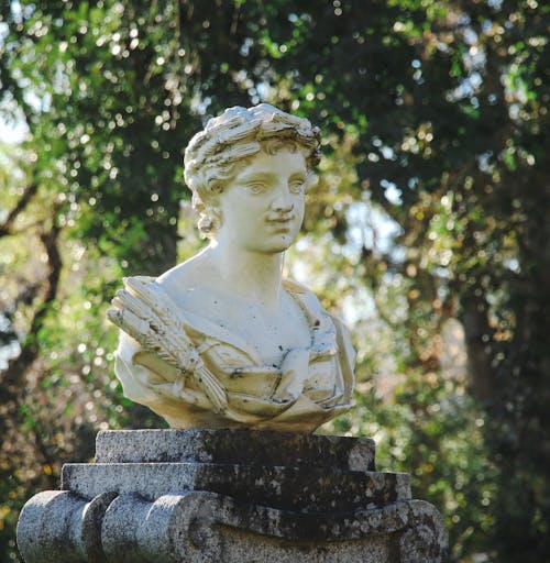 Základová fotografie zdarma na téma detail, historie, kulička