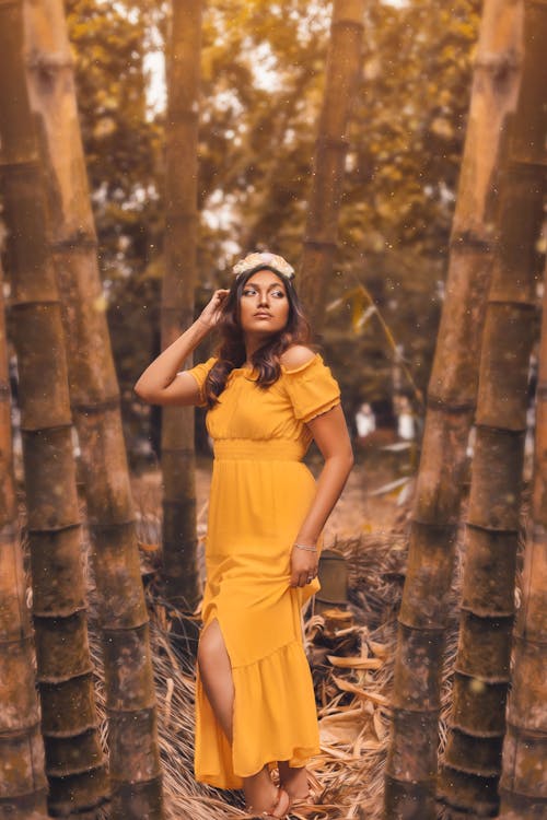 Gratis arkivbilde med artist, bauru, gul kjole