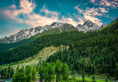 Free Breathtaking view of a mountain range with dense coniferous forest and clear summer sky. Stock Photo