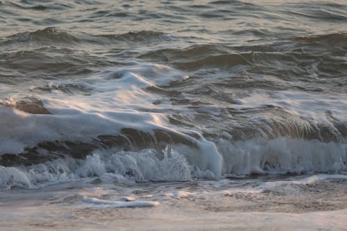 Kostenloses Stock Foto zu küste, meer, nahansicht