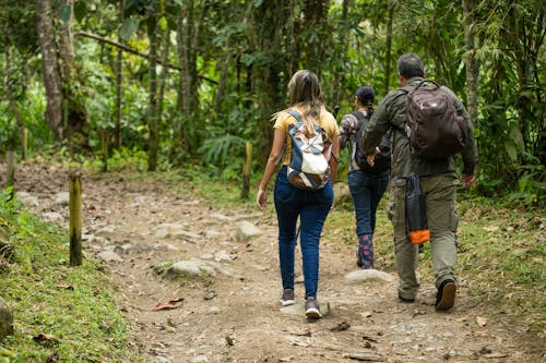 People Hiking in Jungle