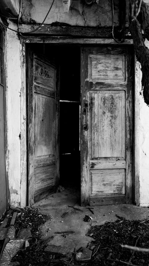Základová fotografie zdarma na téma černobílý, dřevěné dveře, klasický