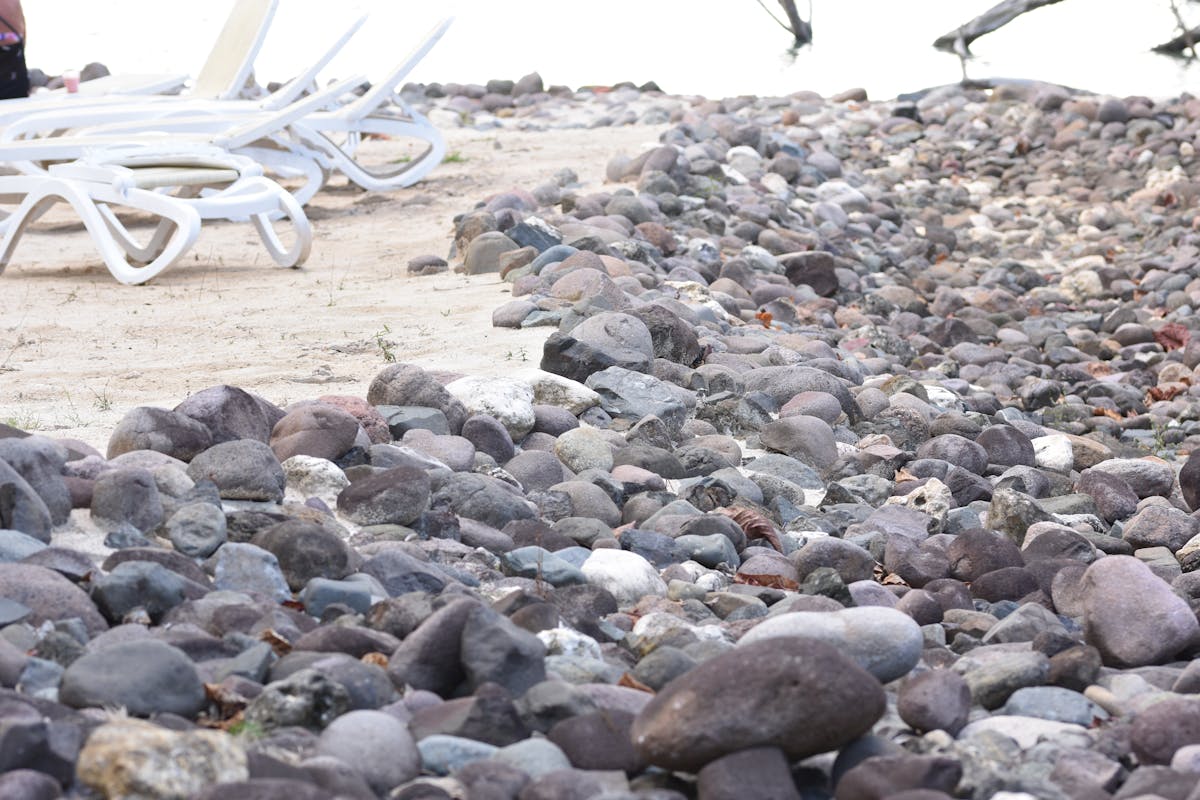Assembled grain bowl with vegetables neatly arranged in sections