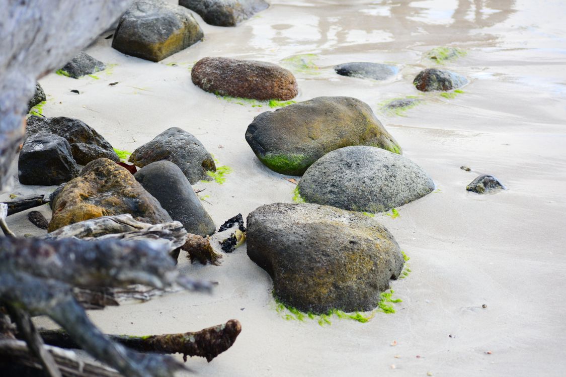 Quebec Rocks On Beach Rocks on the Beach · Free Stock Photo