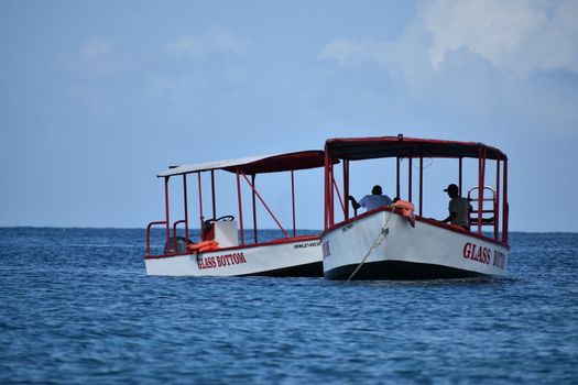 glass bottom boat