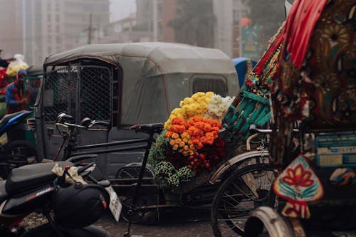 Flowers on a Cart Attached to a Bicycle 